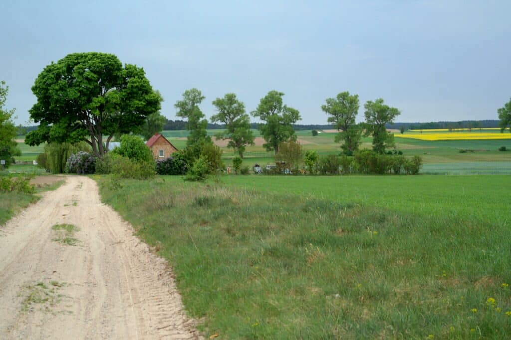 Tranquil rural scene with a dirt road, trees, fields, and a distant house under a cloudy sky.